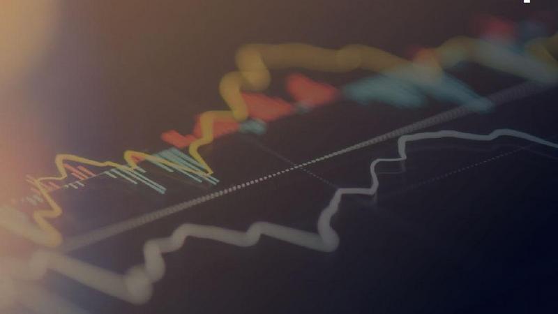 Kursverlauf eines Private-Equity-Fonds